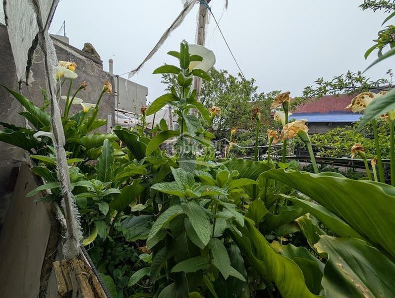 Foto 78571d29-8a08-49b4-961b-c0298d218af9. Casa amb aparcament a Tanque (El)