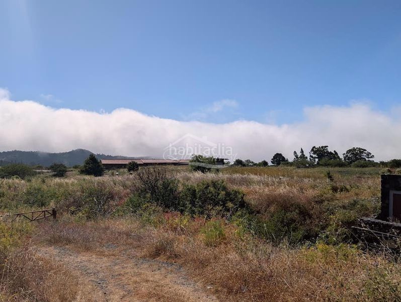 Foto ff7f2f0d-ef96-40b7-bf7a-bfbbf17c9897. Casa amb aparcament a Tanque (El)