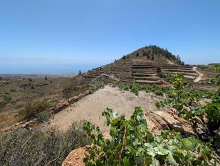 Finca rústica a Guía de Isora Interior. Parcela rústica en tejina de isora, tenerife