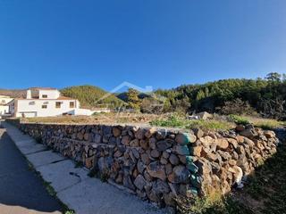 Rural plot in Vilaflor. Solar urbano en vilaflor, tenerife