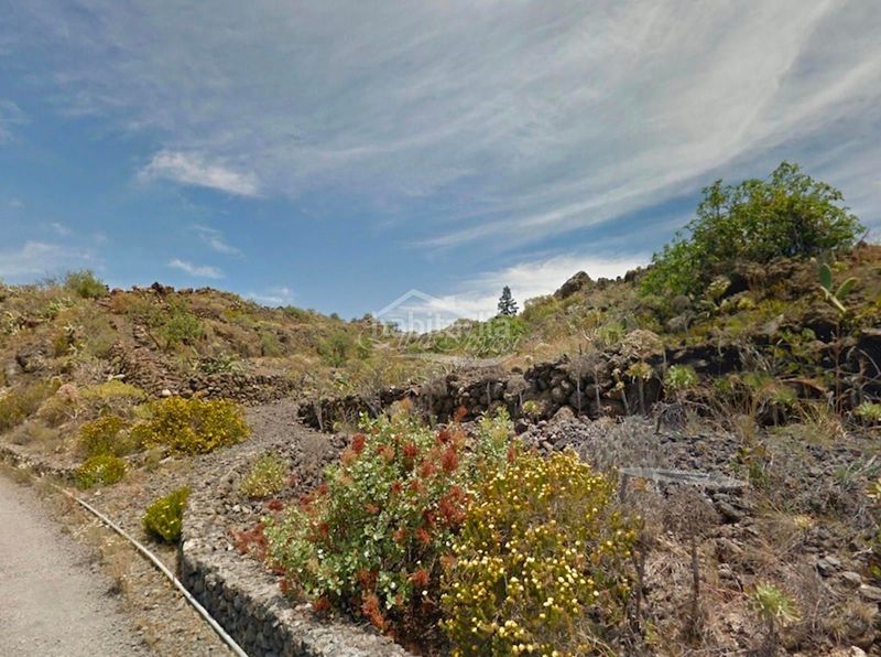 Foto d142afba-f9ce-49de-b24a-f998630a44c1. Finca rústica a Guía de Isora interior Guía de Isora