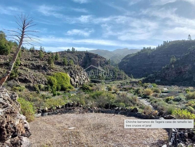 Foto f3da869e-2dfc-480c-a24b-52e9dfcd791c. Finca rústica a Guía de Isora interior Guía de Isora