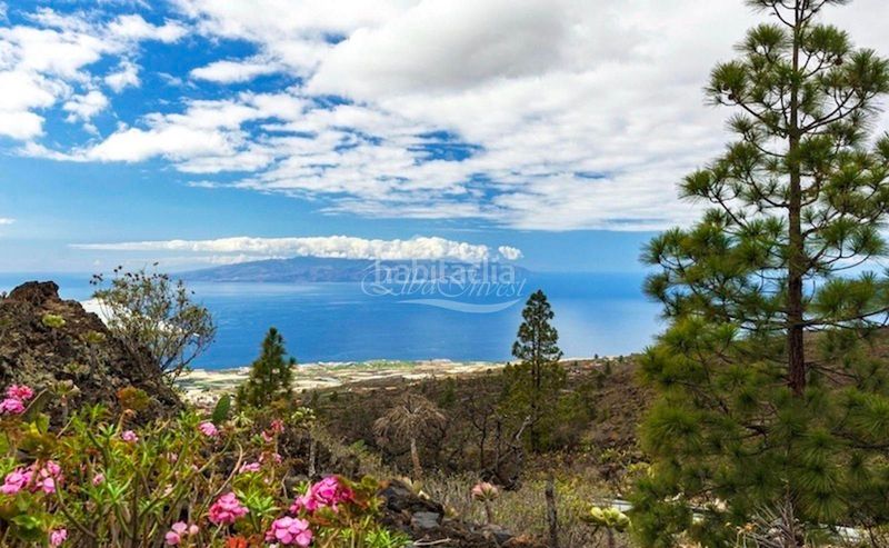 Foto fbcd51ba-d76f-4306-bbf1-195a9d8e942c. Finca rústica a Guía de Isora interior Guía de Isora