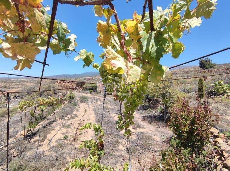 Foto 0d4041b6-f9e5-4822-857e-2c46c198af96. Finca rústica a Arico