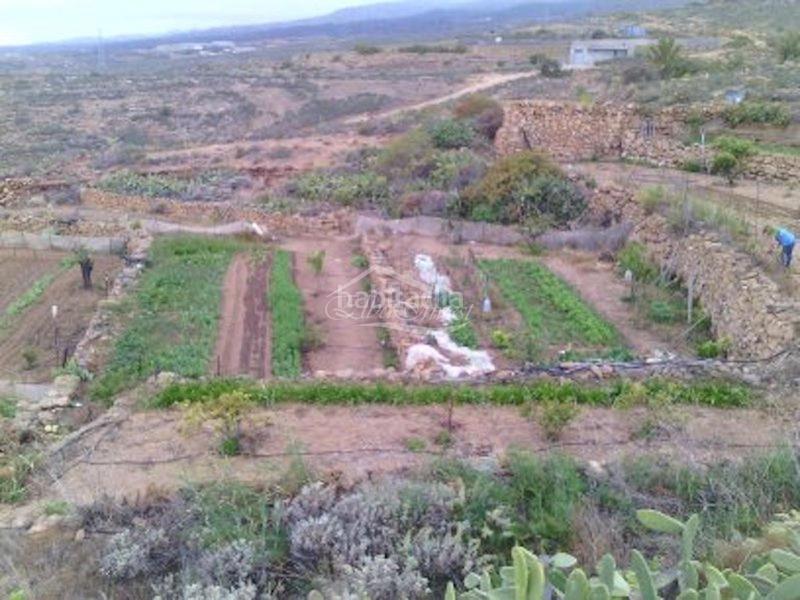 Foto 0fbf4c68-15b1-4204-baba-9449eaf0e920. Finca rústica a Arico