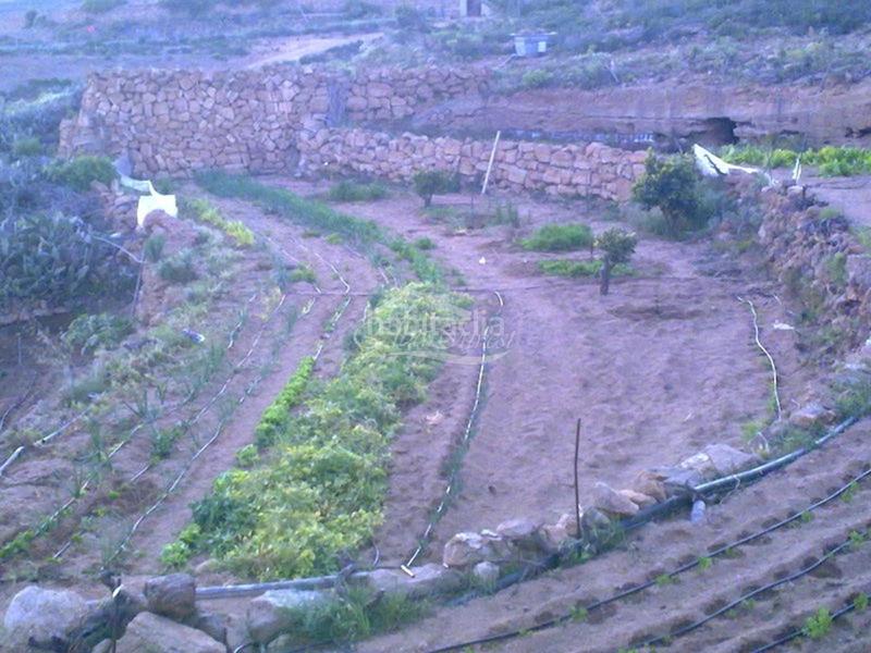 Foto 3fe529d5-0f79-4288-9cf1-b757fe393062. Finca rústica a Arico