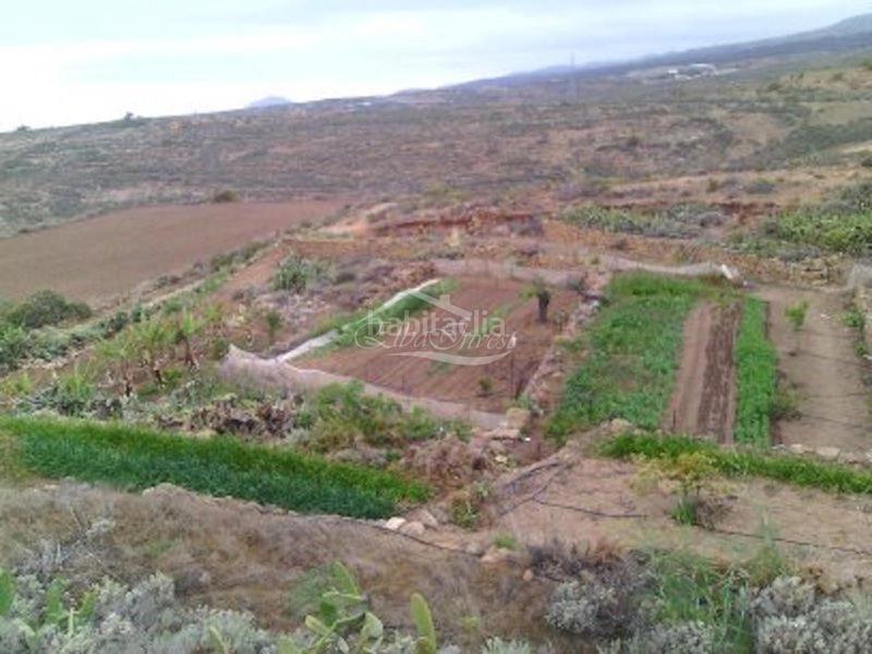 Foto 9f15fce3-8423-4729-a864-d2ea46b7c830. Finca rústica a Arico