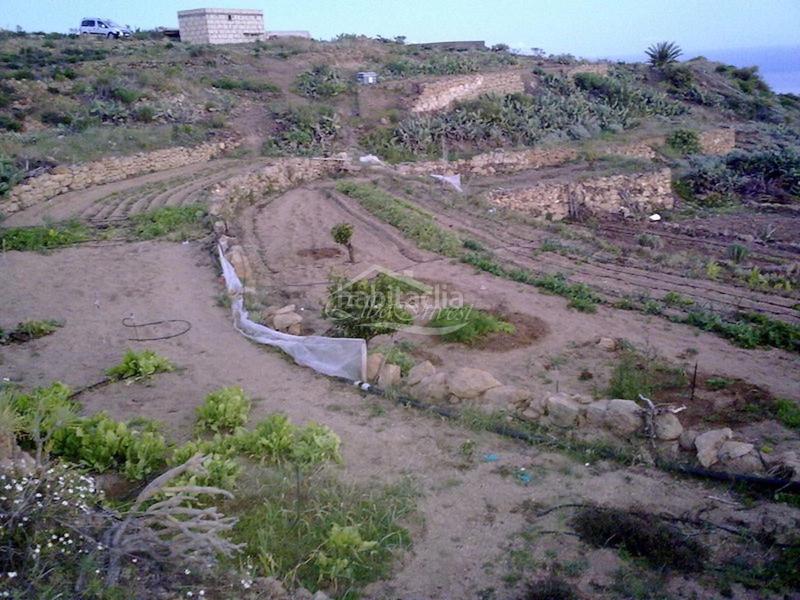 Foto a6c92e90-be30-460f-9840-ce9743c4056f. Finca rústica a Arico