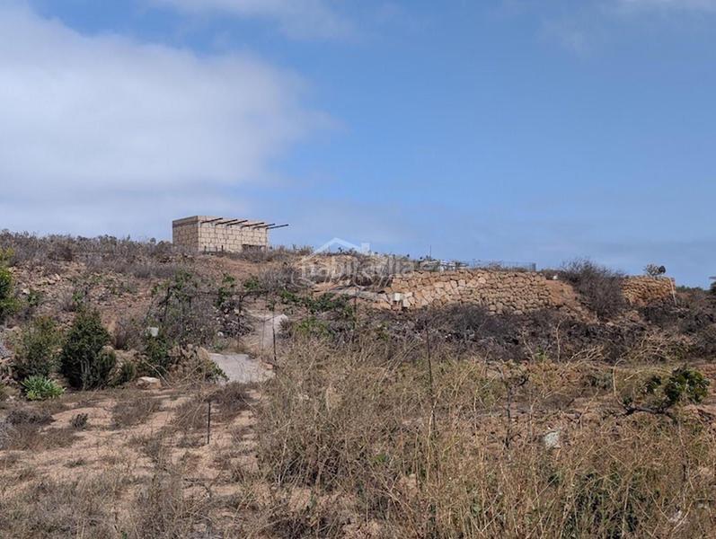 Foto a7027a64-69ee-4efa-af5c-9c1074c72e35. Finca rústica a Arico