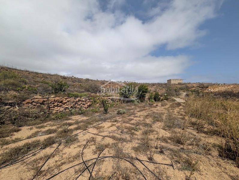 Foto bcfc07da-8ef8-4391-aa6d-03083c367978. Finca rústica a Arico