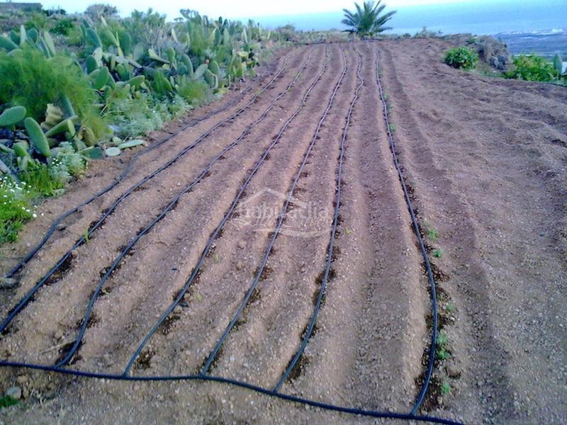 Foto d309f76e-c614-4563-b36c-7bb0495d4385. Finca rústica a Arico