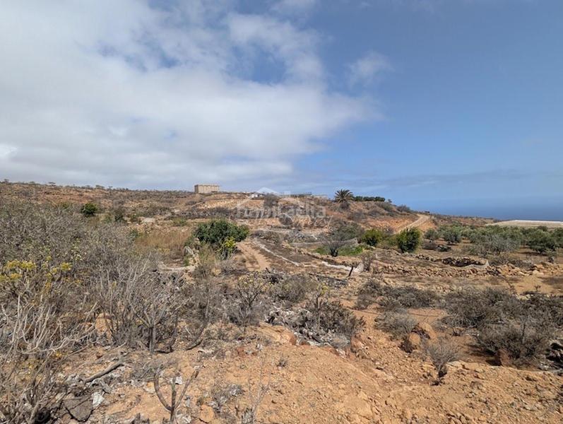 Foto db6d8f7f-13b2-4b66-92f5-5499c131839a. Finca rústica a Arico