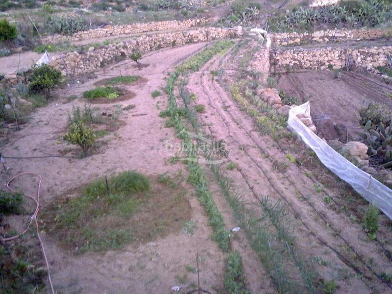 Foto faeabb55-ee40-4fc6-92bc-d7b6a742da64. Finca rústica a Arico