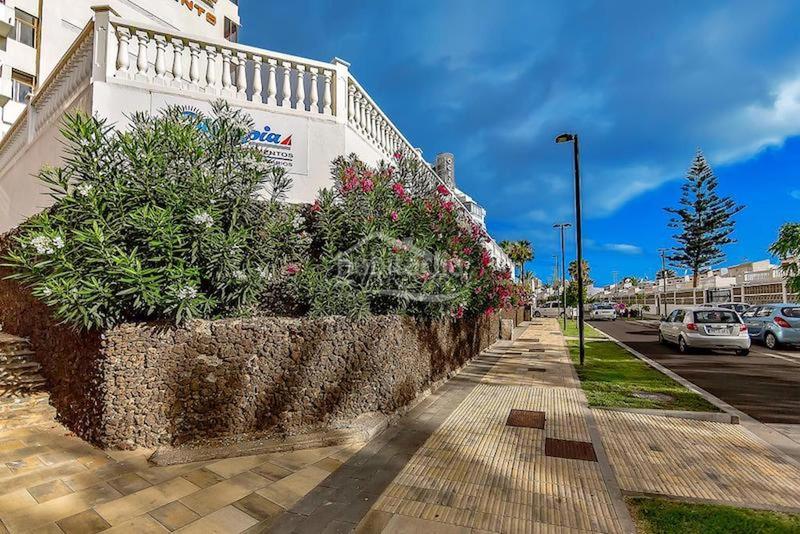 Foto ab93a49c-bf10-461f-bc56-fc0cdbba59b9. Pis amb piscina a Playa de las Américas Adeje