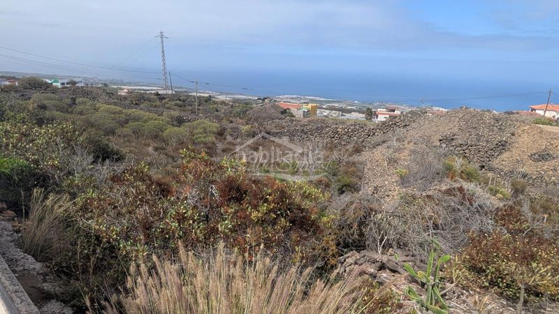 Foto c281796f-d689-4ffa-b1ef-e9d361e9f152. Finca rústica a Guía de Isora interior Guía de Isora