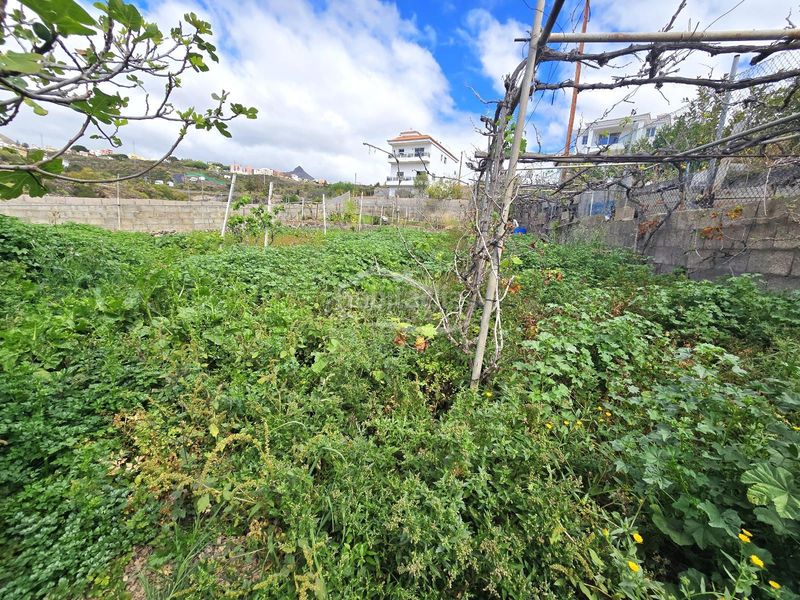 Foto 1fb9791e-ef4d-4f29-b29b-be12cd4d51c3. Casa amb aparcament a La Camella Arona