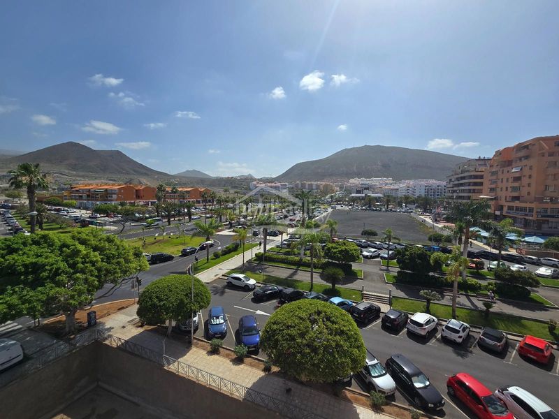 Foto 786bf630-8b8b-4c28-8db0-dcb9eef41473. Pis a Los Cristianos Arona
