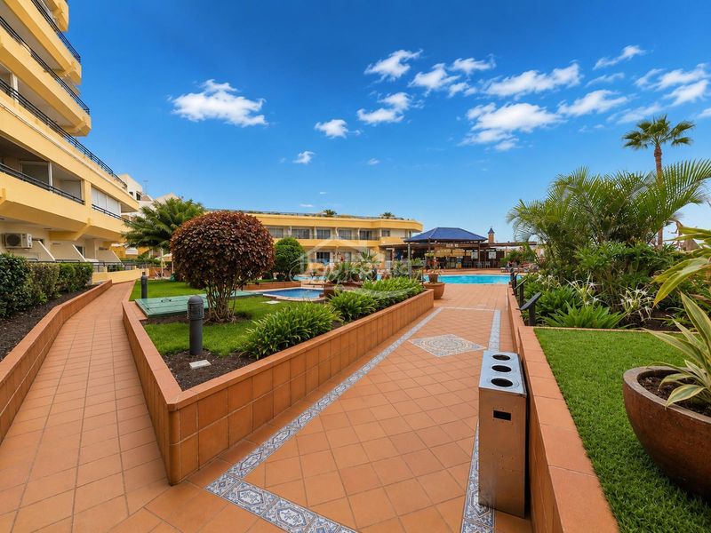 Foto fe715d76-b3d2-4818-aee6-cc10a5054f0a. Pis amb piscina a San Eugenio Bajo Adeje