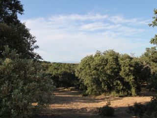 Terreno residenziale in Ciudalcampo. Ciudalcampo
