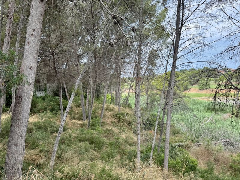 Foto fe96a00f-0e15-4adf-b3bb-a9fdfdae01cf. Terreny residencial a El Bosque Chiva