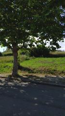 Terreny residencial en Dexo - Lorb. Oleirosdexo bonita parcela urbana de 457 m2 con orientacin sur.