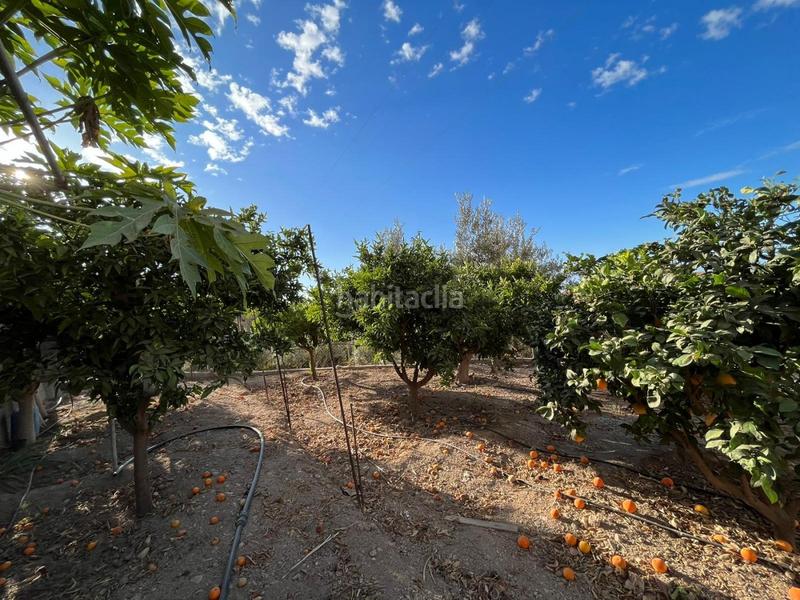 Foto 045b61ab-2afc-4b00-a8a3-81cc3d1b300a. Masía maravillosa casa rural en Mojonera (La)