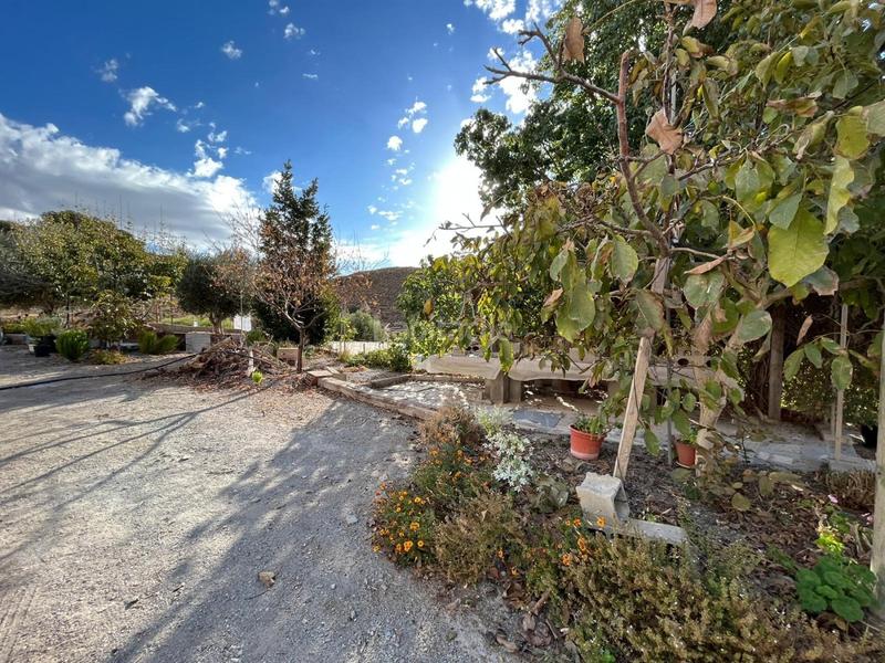 Foto 433c8127-9d2c-43d7-aae7-e3791608661a. Masía maravillosa casa rural en Mojonera (La)