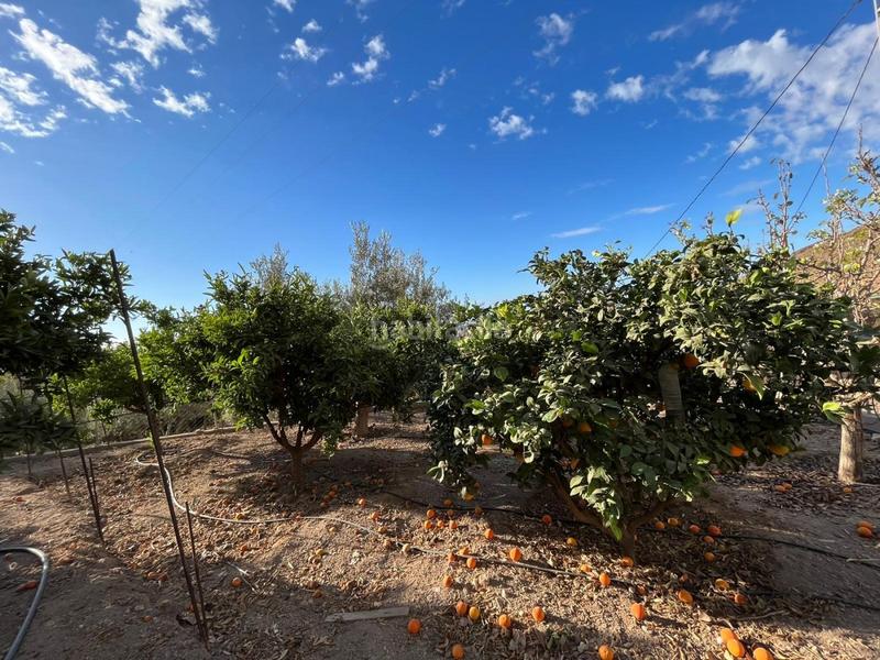 Foto 55406a8b-97bf-4e4d-9928-882459975ee0. Masía maravillosa casa rural en Mojonera (La)