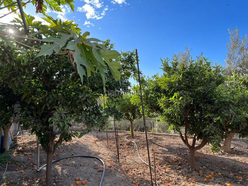 Foto 555b3009-c0dd-429e-9781-837b170511cc. Masía maravillosa casa rural en Mojonera (La)