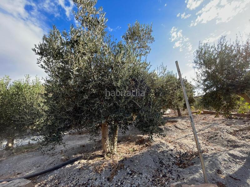 Foto 7536db55-248f-449d-89cf-df91df154598. Masía maravillosa casa rural en Mojonera (La)