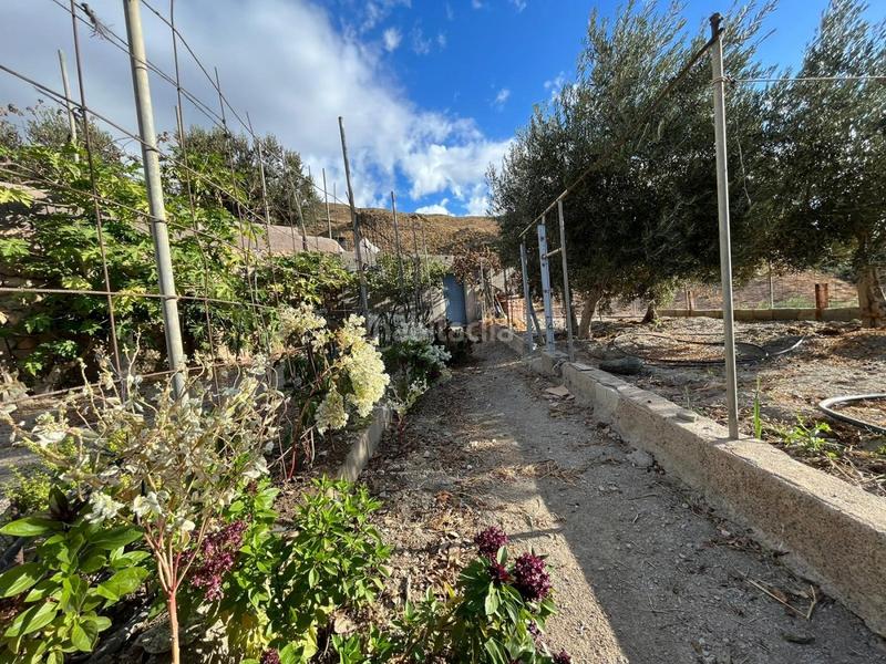 Foto aeb63922-f2f8-4d5d-8b5c-ee7b59f6b114. Masía maravillosa casa rural en Mojonera (La)