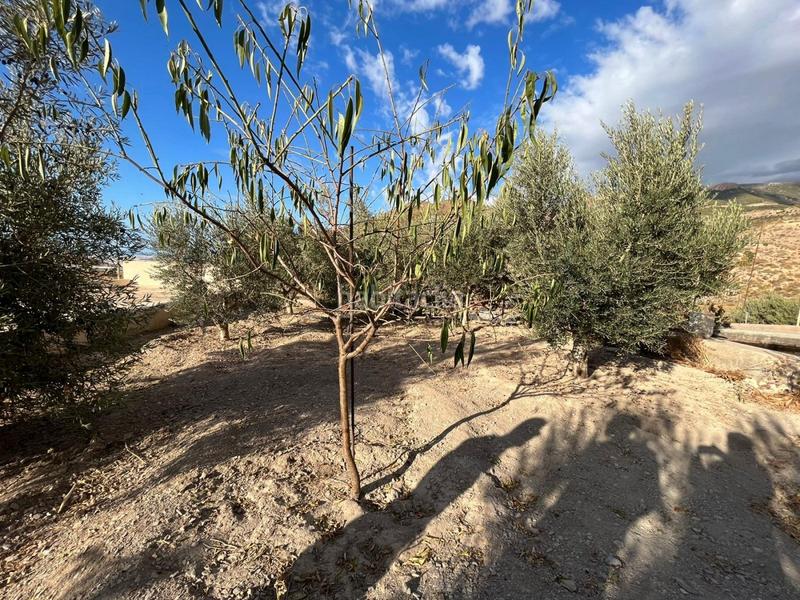 Foto cf1c924d-a33c-43c8-ae49-073e06b1ca38. Masía maravillosa casa rural en Mojonera (La)