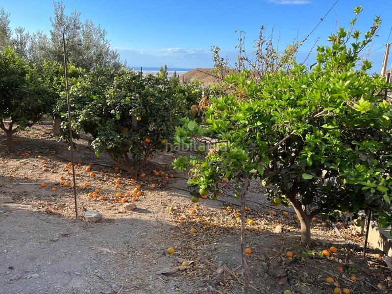 Foto de664e7b-282e-4c46-8fc9-a6039b517911. Masía maravillosa casa rural en Mojonera (La)