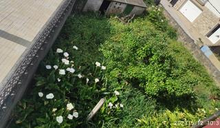 Casa a schiera in Guarda (A)