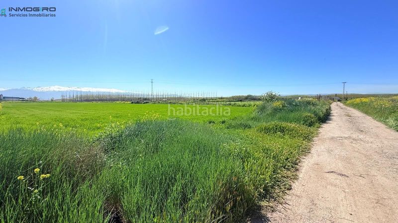 Foto 2408b446-7266-4416-b312-a05dd9721660. Masia a Atarfe