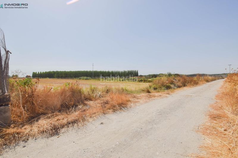 Foto 758bcdb4-2e0c-42bf-8a19-f225a06d433d. Masia a Atarfe