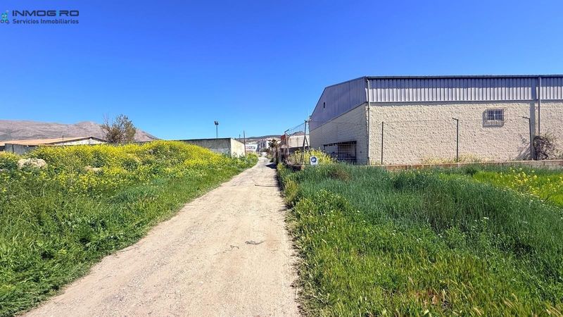 Foto dfa4d033-e7a0-4e74-9057-e3de3a6a1bf6. Masia a Atarfe