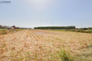 Mas à Atarfe. Finca rústica de 4.785m2 en atarfe!