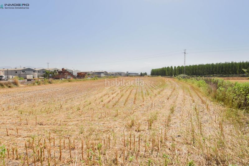 Foto bdffd924-8e5a-44c1-a50d-899d68931a71. Masia a Atarfe