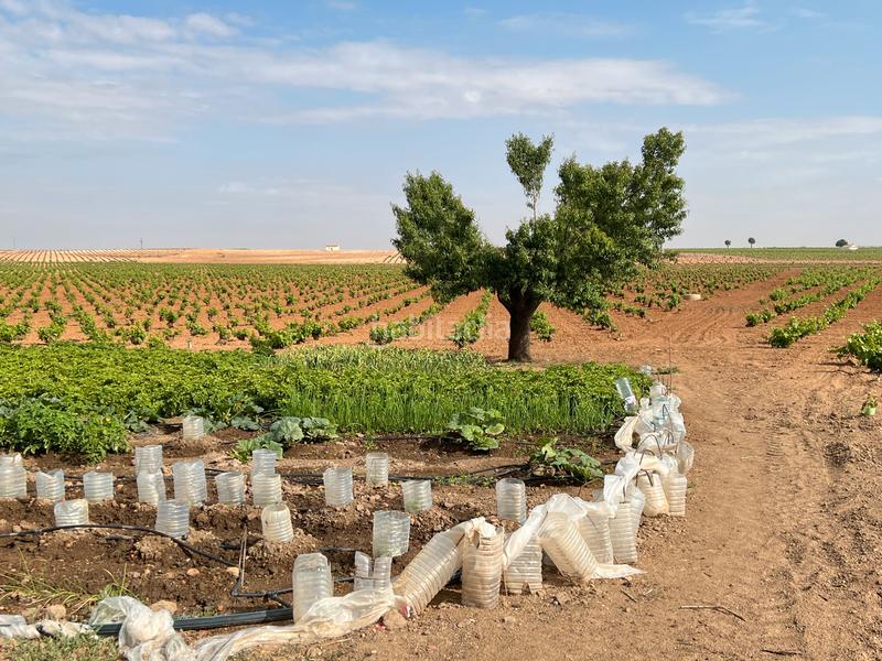 Foto 0b86d9d1-fa7c-484f-a0f8-475e5c1b14b1. Landgut in Herencia