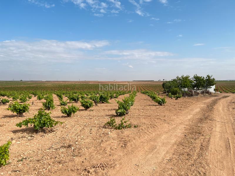 Foto 180d2991-3676-4675-af21-299b387370ae. Landgut in Herencia