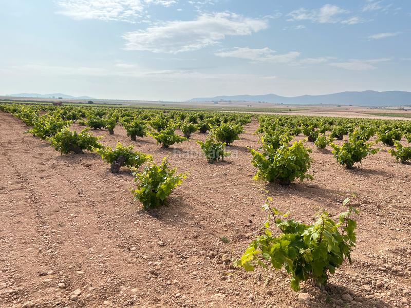 Foto 1c925a18-e4c2-4cf7-8d5e-1273a70eef09. Landgut in Herencia