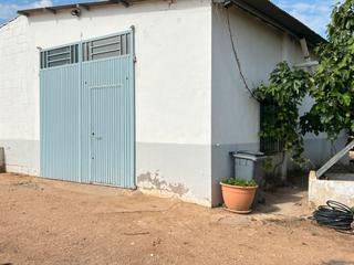 Finca rústica  Avenida de la constitución. Venta de viña de regadío mas maquinaria