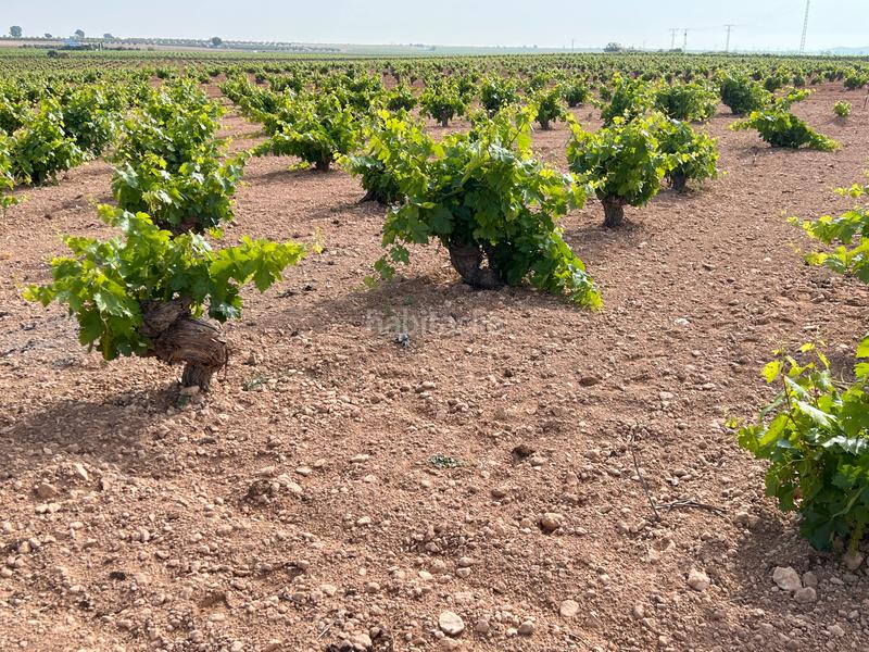 Foto 85b9ec99-cf02-4e6a-8e92-1e5ef047cede. Landgut in Herencia