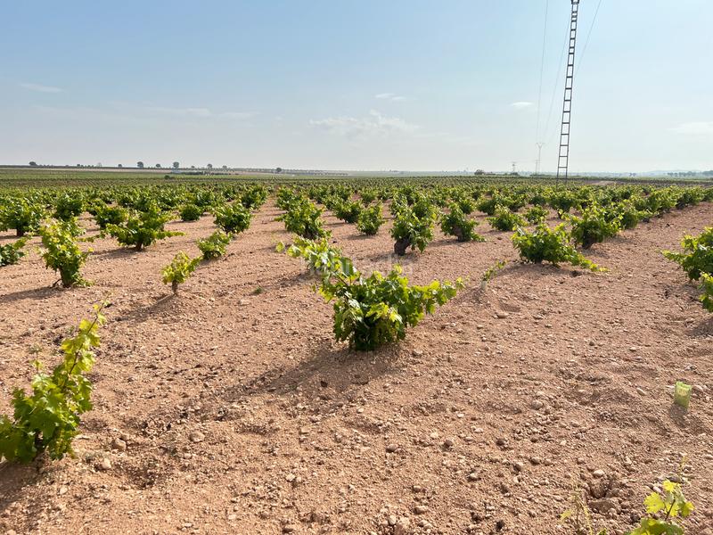 Foto a1f7ed6d-06a9-4642-ac8f-0e250940ad0d. Landgut in Herencia