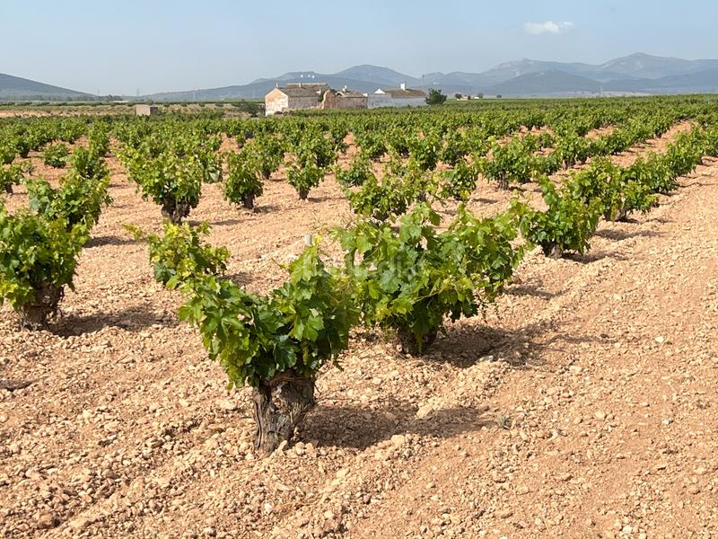 Foto a8764866-7bbb-4401-a71f-09ffbb9c8f05. Landgut in Herencia