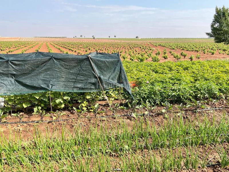 Foto aa677b5d-0022-41df-bc42-e33ec7d649c1. Landgut in Herencia