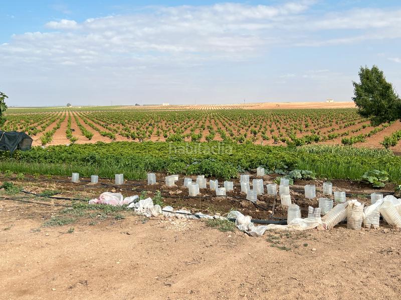 Foto bc3b9de8-a5e4-43d9-9212-2a486c26e21f. Landgut in Herencia