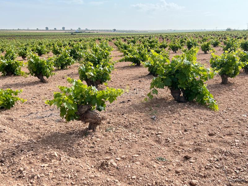 Foto d64dab8e-204b-4023-ace2-79bf5c15db00. Landgut in Herencia