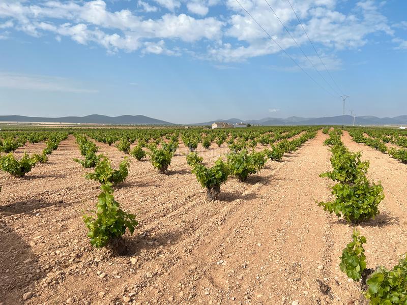 Foto eac0a3c1-95f3-440e-bb06-05c7569b46e1. Landgut in Herencia